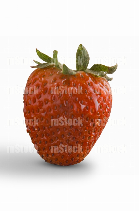 Fresa fresca