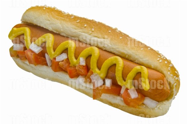 Hot dog casero