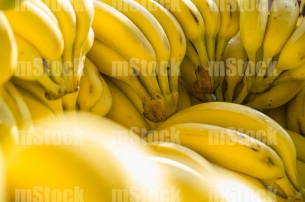 Plátanos maduros