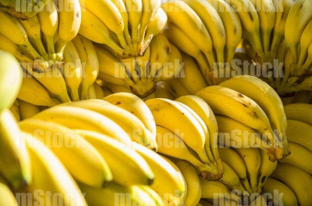 Plátanos bananos