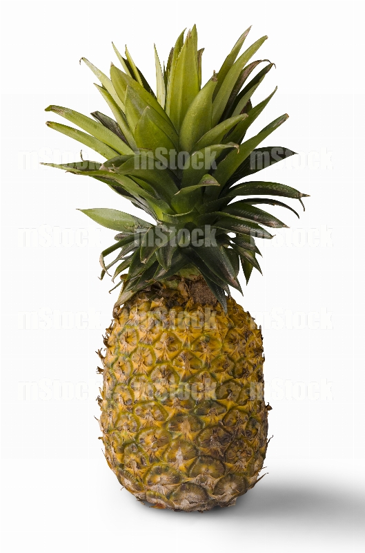 Piña entera