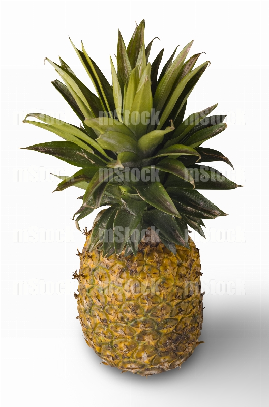 Piña madura