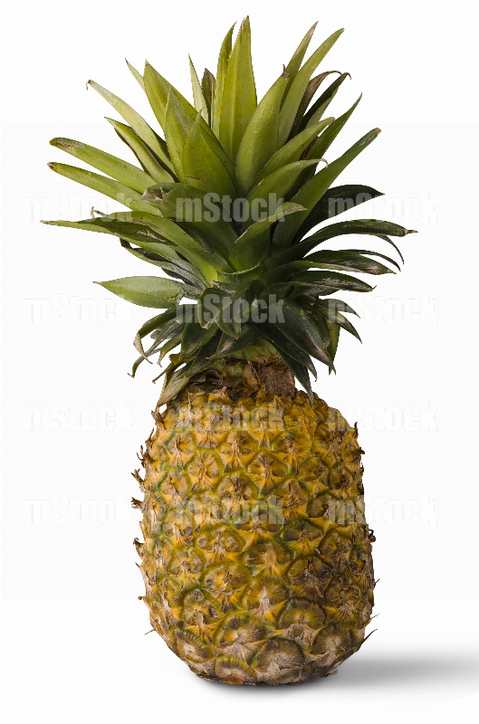 Piña dulce