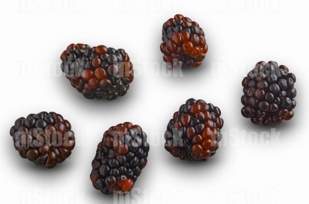 Moras