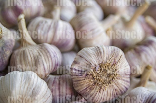 Cabezas de Ajos