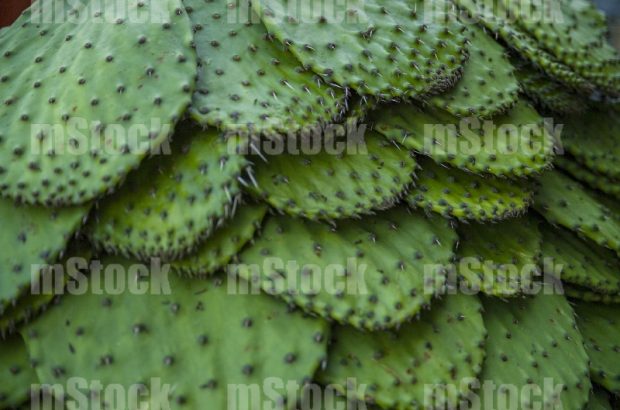 Nopales