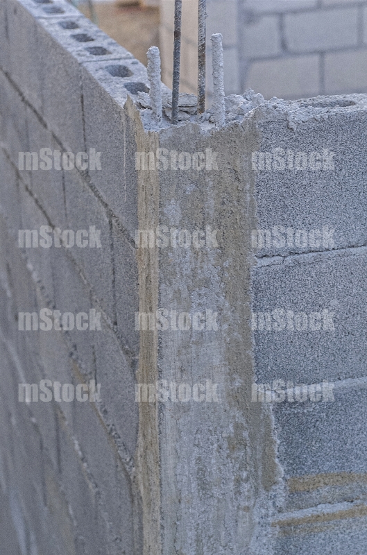 Columna de Concreto 1