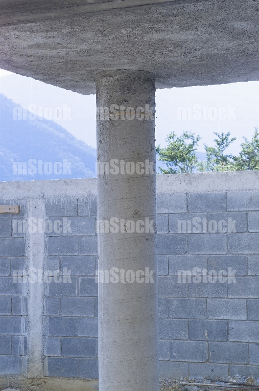 Columna de Concreto