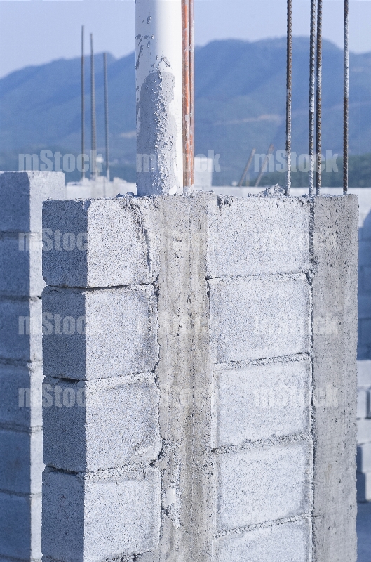Columna de Concreto con Instalaciones
