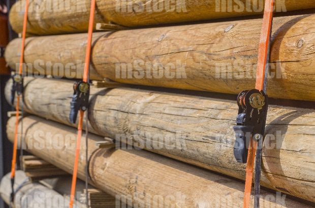 Troncos de Madera flejados 1