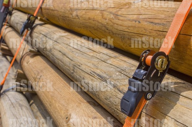 Troncos de Madera flejados 2