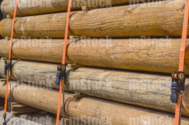 Troncos de Madera flejados