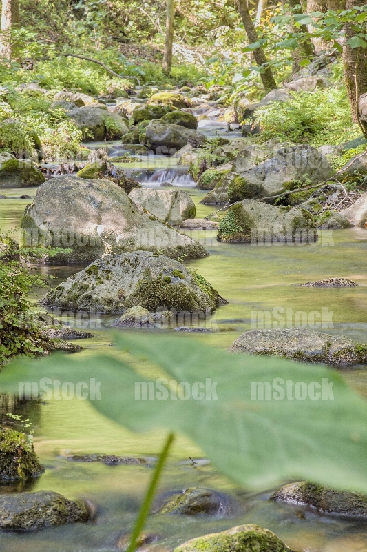 Arroyo