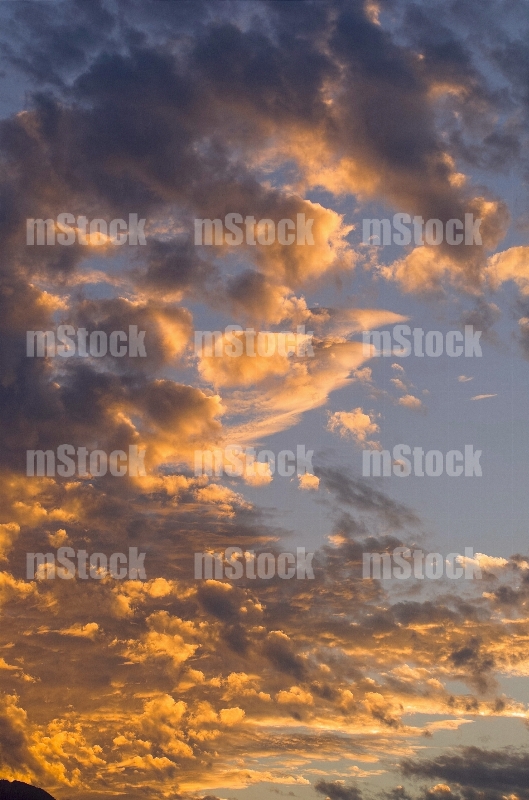 Atardecer 5