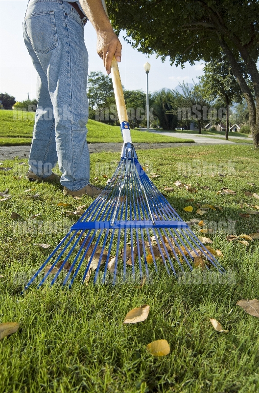 Jardinero con Rastrillo 1