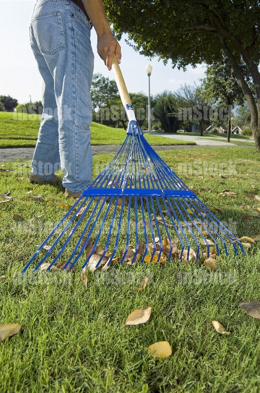 Jardinero con Rastrillo 2