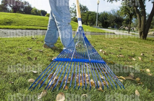 Jardinero con Rastrillo 3