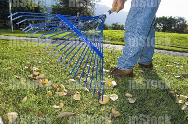 Jardinero con Rastrillo 4