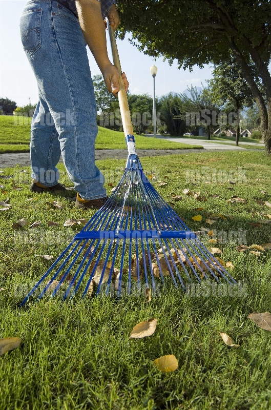 Jardinero con Rastrillo