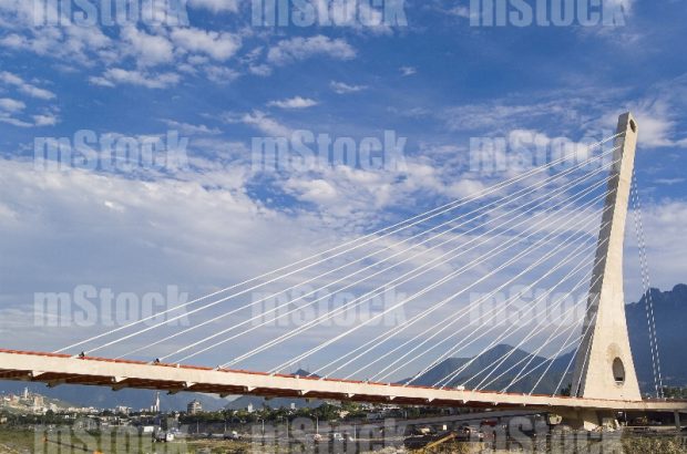 Puente Atirantado 8