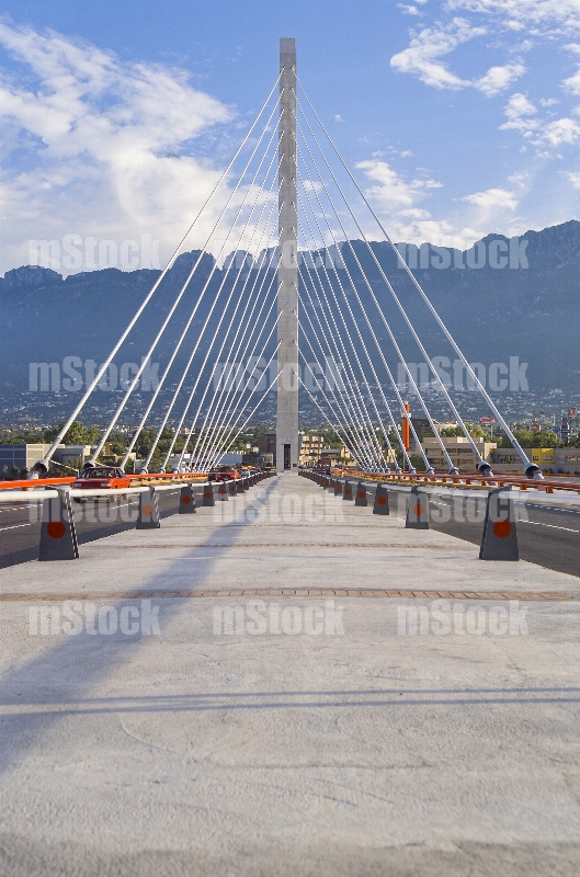 Puente Atirantado 13