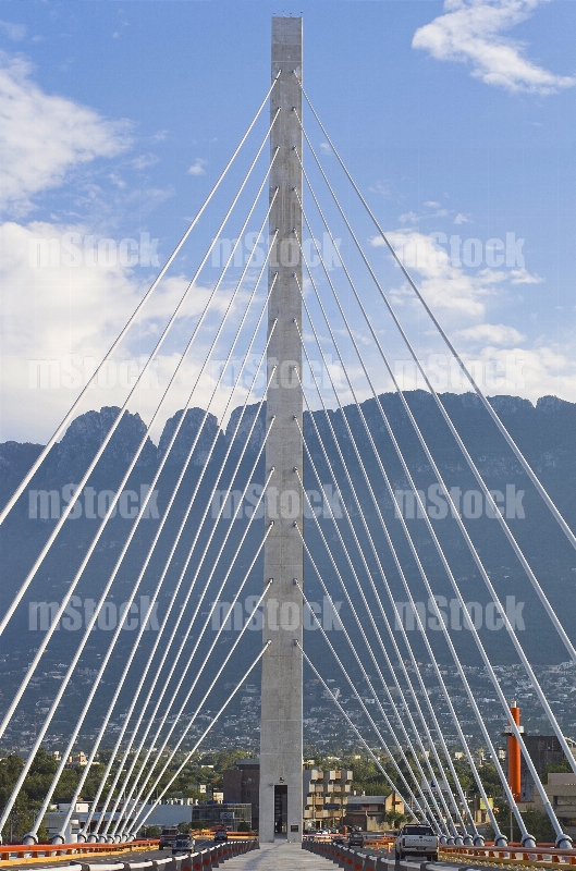 Puente Atirantado 14