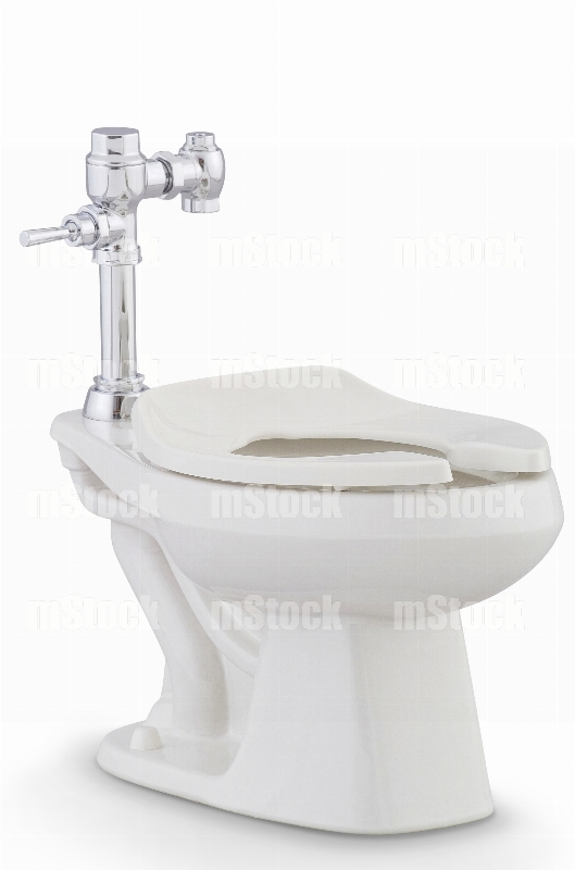 Taza de Baño con Fluxometro 1