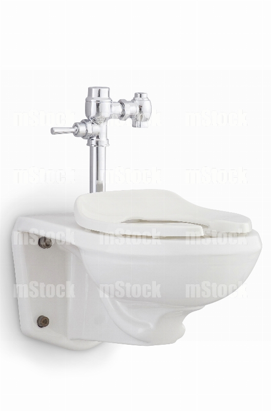 Taza de Baño con Fluxometro 2