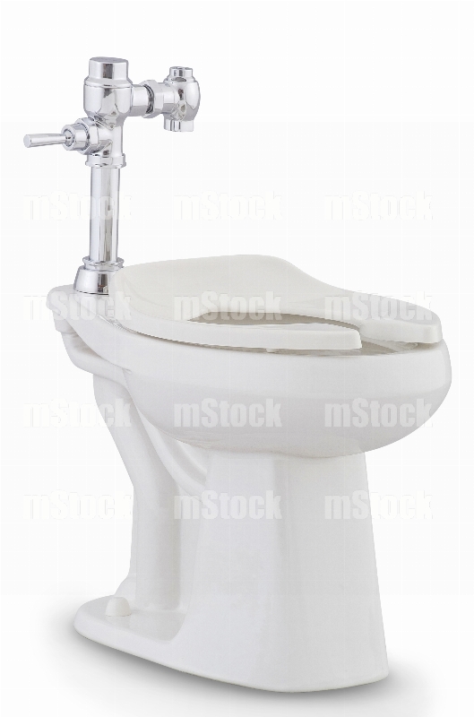 Taza de Baño con Fluxometro