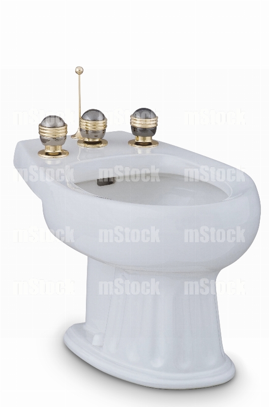 Bidet de Baño