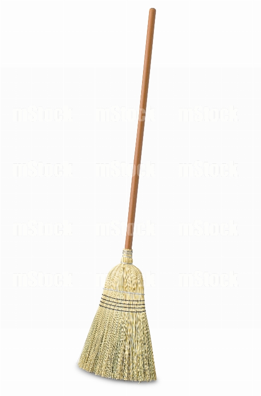 Escoba 1
