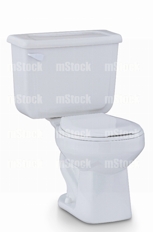 Sanitario 4