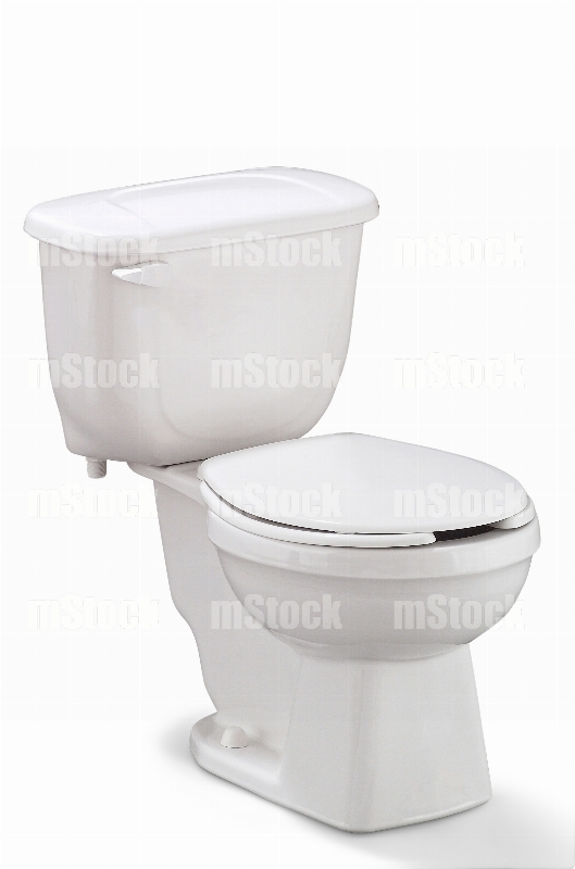 Sanitario 5