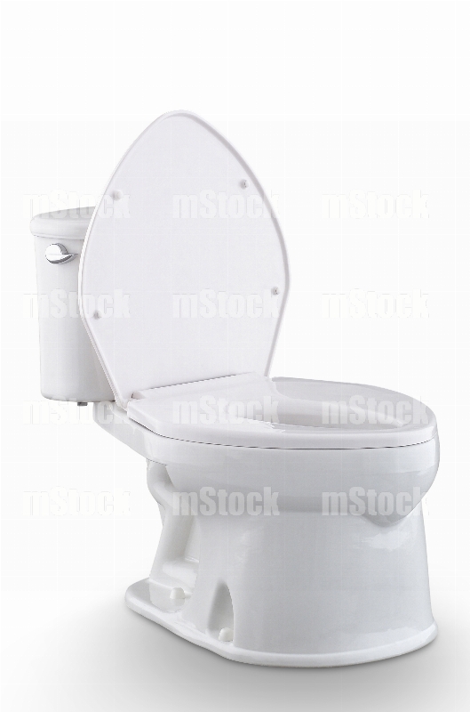Sanitario 7