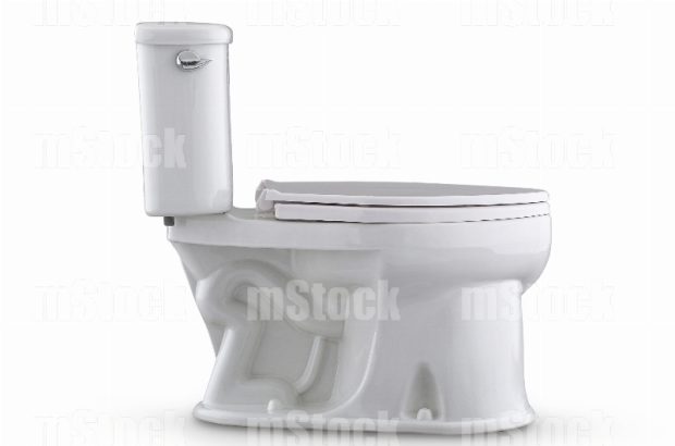 Sanitario 8