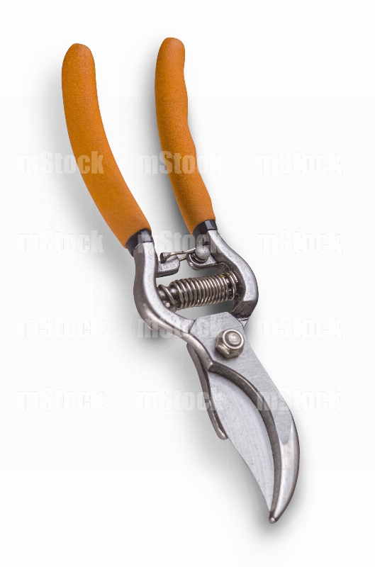 Tijeras para Poda 1