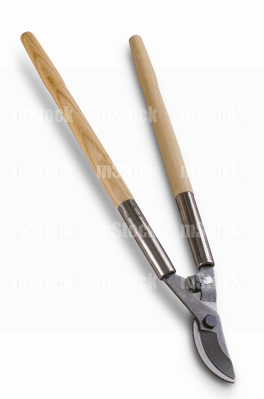 Tijeras para Poda 2