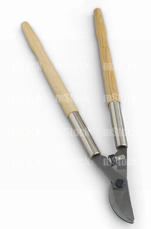 Tijeras para Poda 3