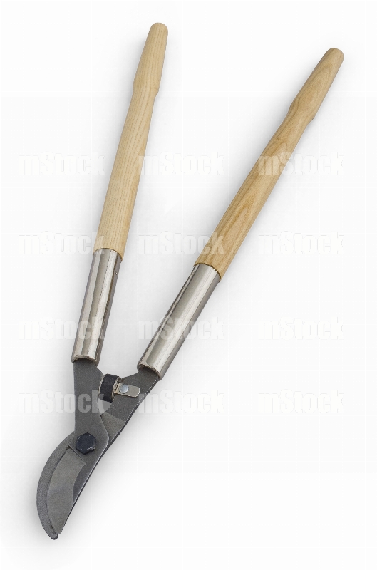 Tijeras para Poda 4