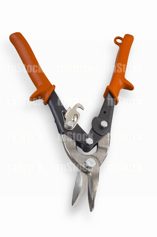 Tijeras para Poda