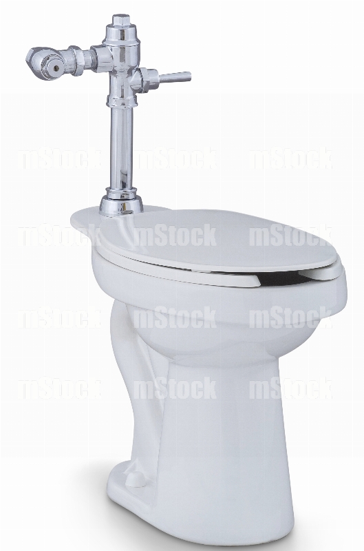 Taza de Baño con Fluxometro 3