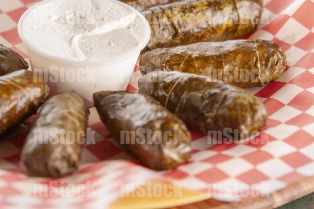 Comida Libanesa 15