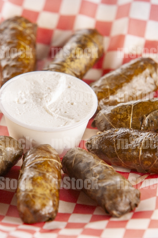 Comida Libanesa 17