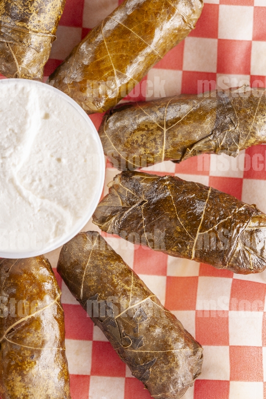 Comida Libanesa 19