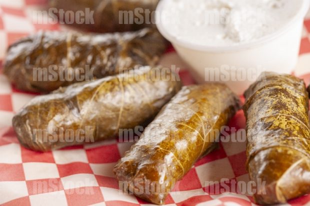 Comida Libanesa 21