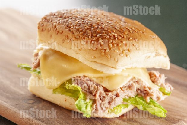 Sándwich Mediterráneo 7