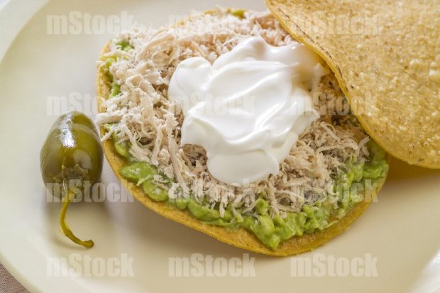 Tostada de Pollo 1