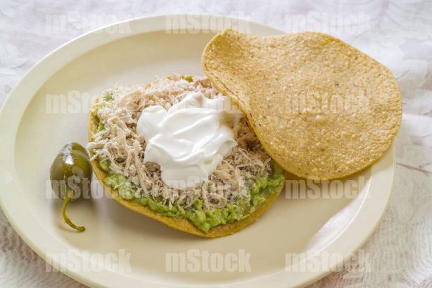 Tostada de Pollo 2