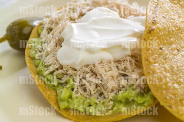 Tostada de Pollo 3