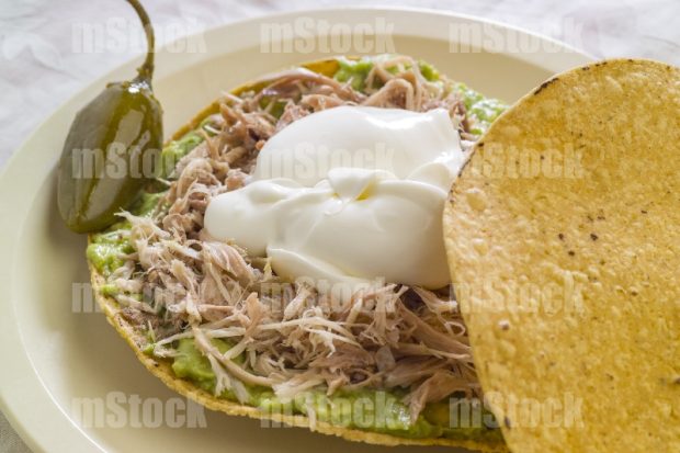 Tostada de Pollo 7